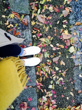 ササキさんのコーディネート