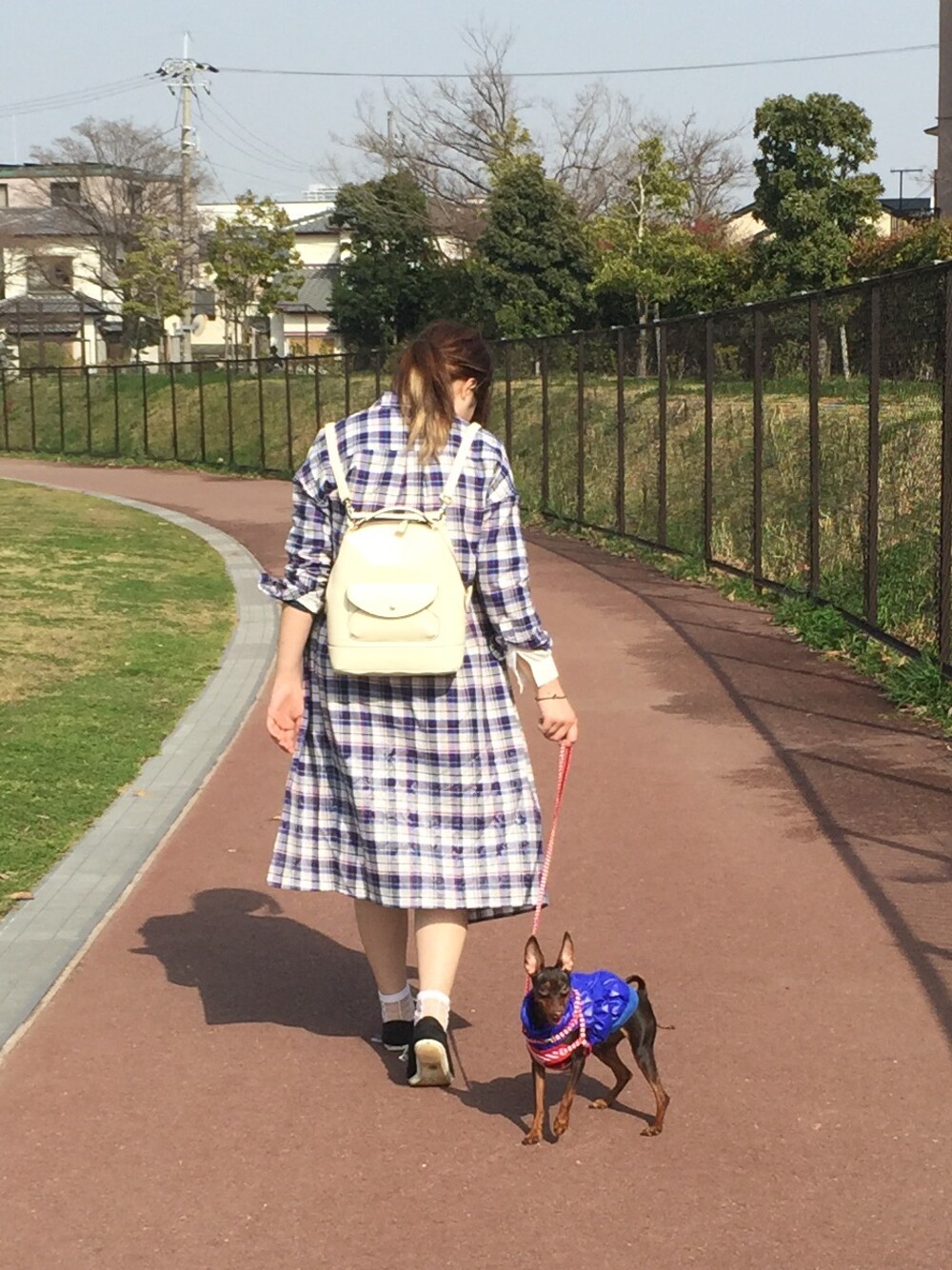 「春コーデ、青チェック、ロングシャツワンピ、大学生、19歳、ヘアピン、JENASiS、愛犬と一緒」｜「JEANASISのアイテム（ワンピース、ブルー系）」を使った、アタエ ノ ユキチャさん（レディース・168cm）の春コーディネートの1枚目の写真