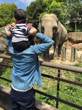 SAKUさんのコーディネート