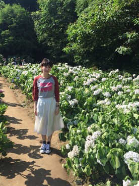 DDさんのコーディネート