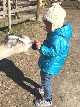 mtyamamaさん（キッズ・90cm）の冬コーディネート