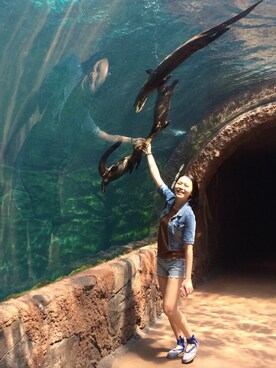 Dovely Caiさんのコーディネート