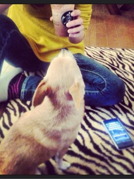 podayoさんのコーディネート