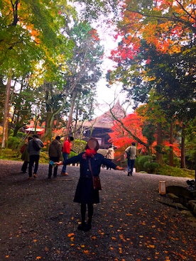 おはなさん（レディース・157cm）の秋コーディネート