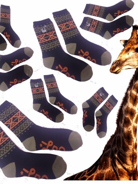 minori_yamakawaさんのコーディネート