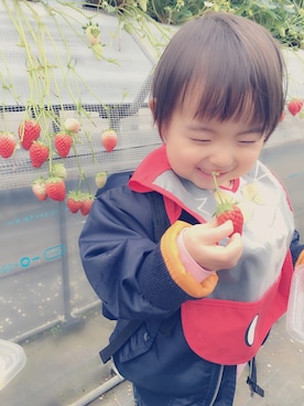 p y o k o さんのコーディネート