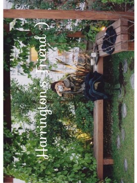 ハリントンさんのコーディネート