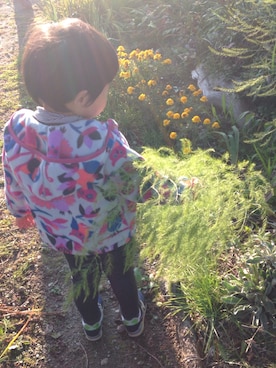 chieさん(キッズ・100cm)の冬コーディネート