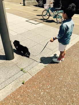 「abcd（ナシ）のアイテム（スニーカー、ホワイト系）」を使った、TOMO3HISO18さん（キッズ・100cm）の春コーディネート