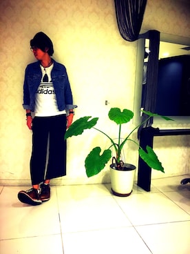 だいちゃんさんのコーディネート