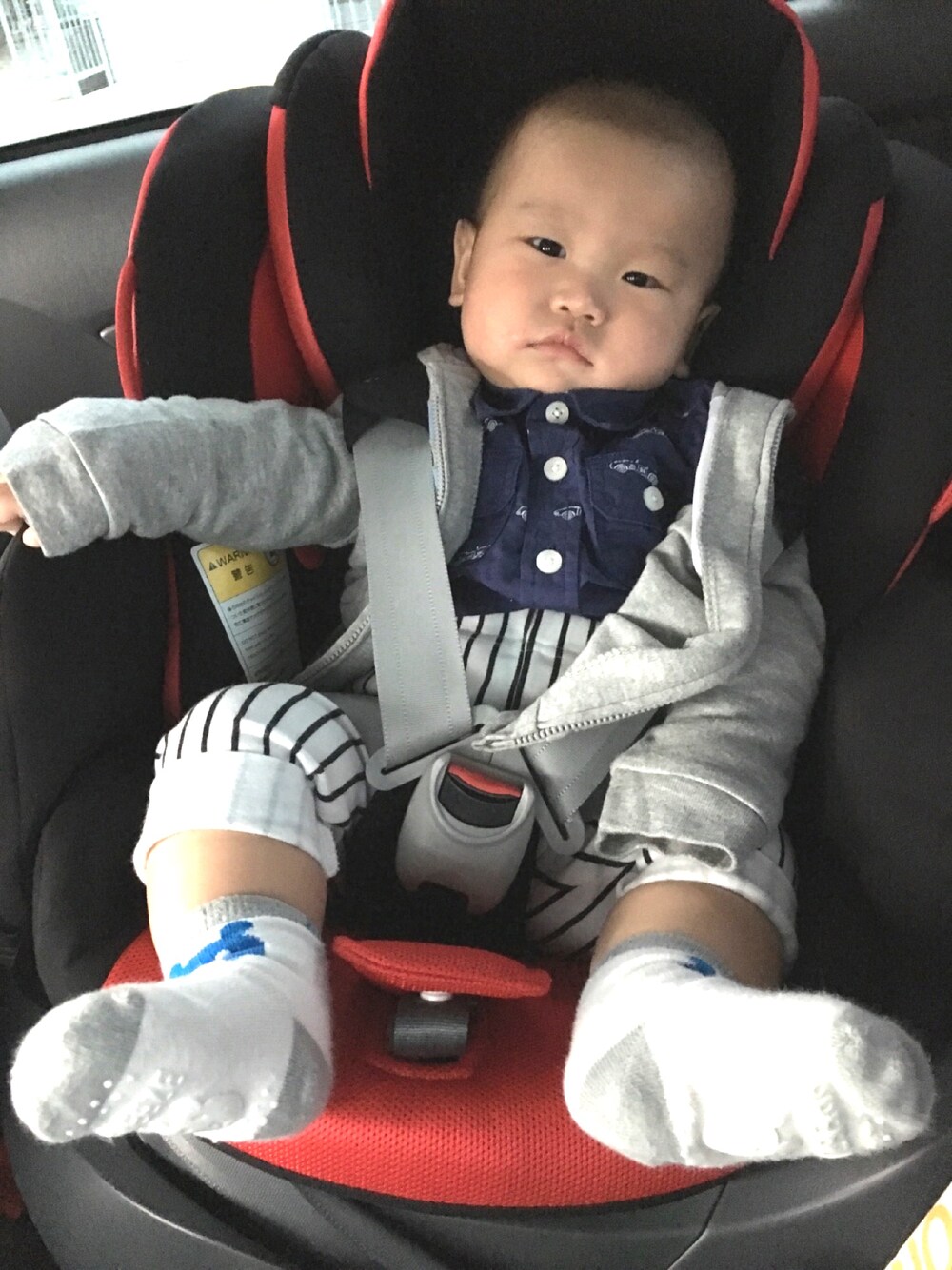 「男の子、０歳、小さい彼氏」｜「babyGAPのアイテム（シャツ/ブラウス、ブルー系）」を使った、キリトさん（キッズ・70cm）の春コーディネートの1枚目の写真