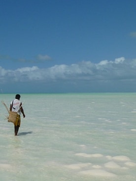　　　　　　　　　　　さささんのコーディネート