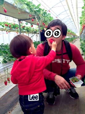 はるぼ〜さんのコーディネート