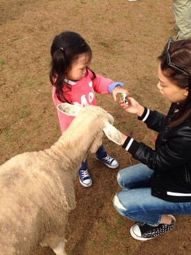 🐰FIFI🐰さんのコーディネート