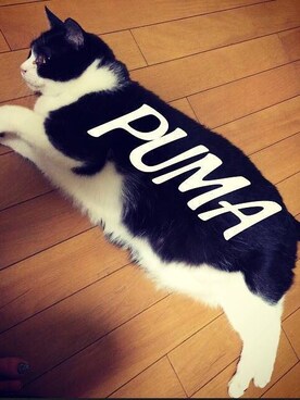 Tomo Tomoさんのコーディネート