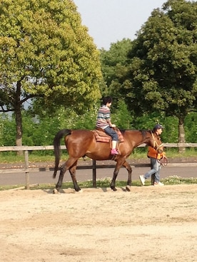 ゆぽ吉さんのコーディネート