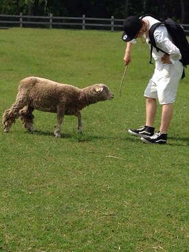 ガーリーましばさん(メンズ・173cm)の夏コーディネート