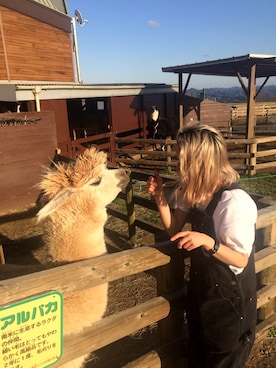 Naoko Moriさんのコーディネート