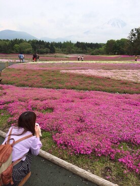 めでる♪さんのコーディネート