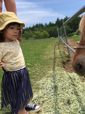 miyokoharu Ariiさんのコーディネート