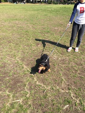 mixさんのコーディネート