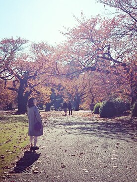 fifi🌠フィフィ💖さん（レディース・160cm）の秋コーディネート