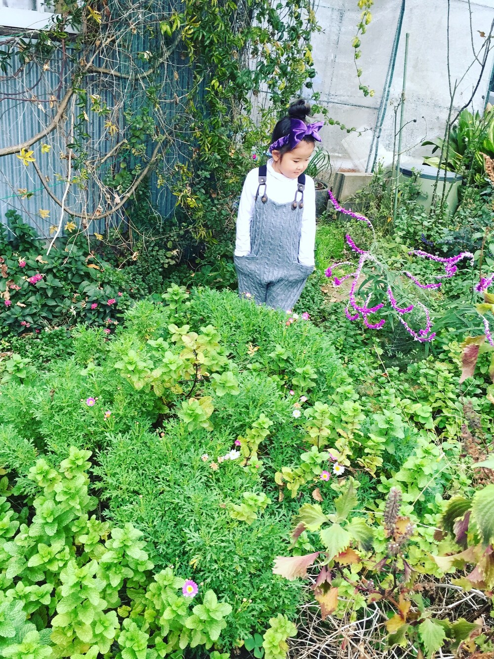 「ランチ」｜「COMME CA DU MODEのアイテム（Tシャツ/カットソー、ホワイト系）」を使った、Anriさん（キッズ・100cm）の冬コーディネートの1枚目の写真