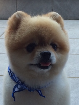 「Original.（オリジナル）のアイテム（財布/小物）」を使った、leoさん（メンズ・170cm）の夏コーディネート