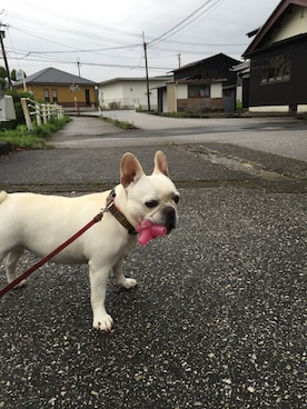 Madokaさんのコーディネート