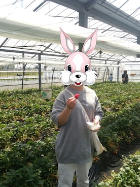 こうめ姫さん（レディース・153cm）の春コーディネート