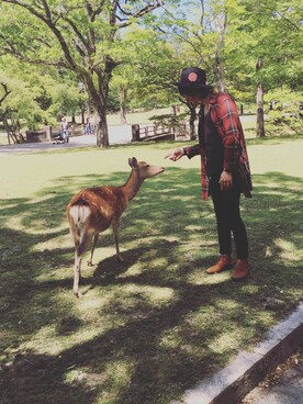 marさんのコーディネート