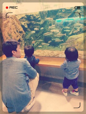 みつみつごさんのコーディネート