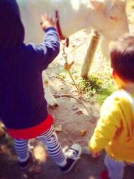 U♡さんのコーディネート