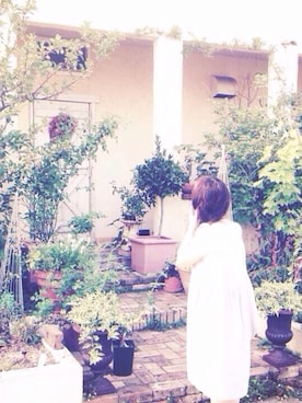 mikaさんのコーディネート