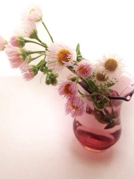 mikaさんのコーディネート