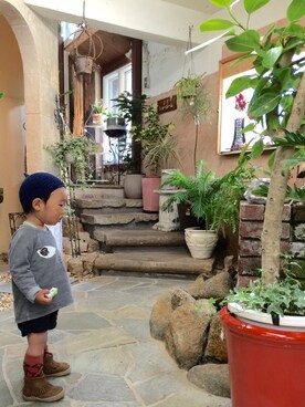 いちかまるさんのコーディネート