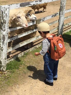 utataさんのコーディネート