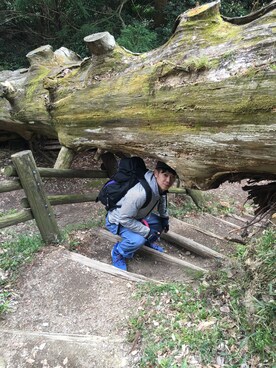 「THE NORTH FACE（ザノースフェイス）のアイテム（バックパック/リュック、ブルー系）」を使った、やのゆきおさん（メンズ・165cm）の春コーディネート