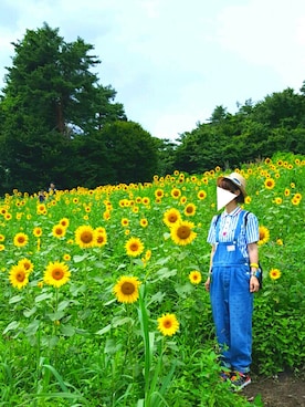 「ひまわり畑」｜「アイテム（オールインワン・サロペット）」を使った、yoshiさん（レディース・158cm）の夏コーディネート