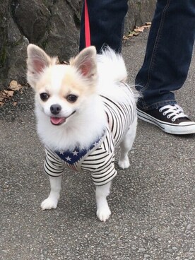 「明洞にてのアイテム（Tシャツ/カットソー、ホワイト系）」を使った、Hanuruさん（レディース・156cm）の秋コーディネート