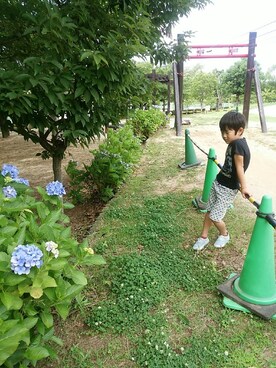 shizucoさんのコーディネート