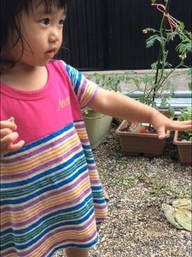 ぺぺさんのコーディネート