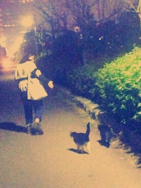 hagiwaraさんのコーディネート