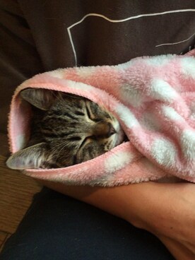 ネコスキーさんのコーディネート