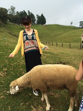 Shichingさんのコーディネート