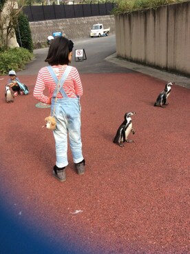 mahaloさん（キッズ・142cm）の春コーディネート