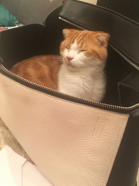 猫山さんのコーディネート