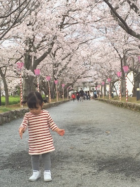 maaikyanさんのコーディネート