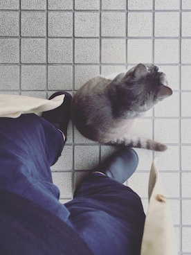 カワイユウタさんのコーディネート