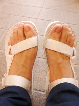 すみっこおにぎりさんのコーディネート